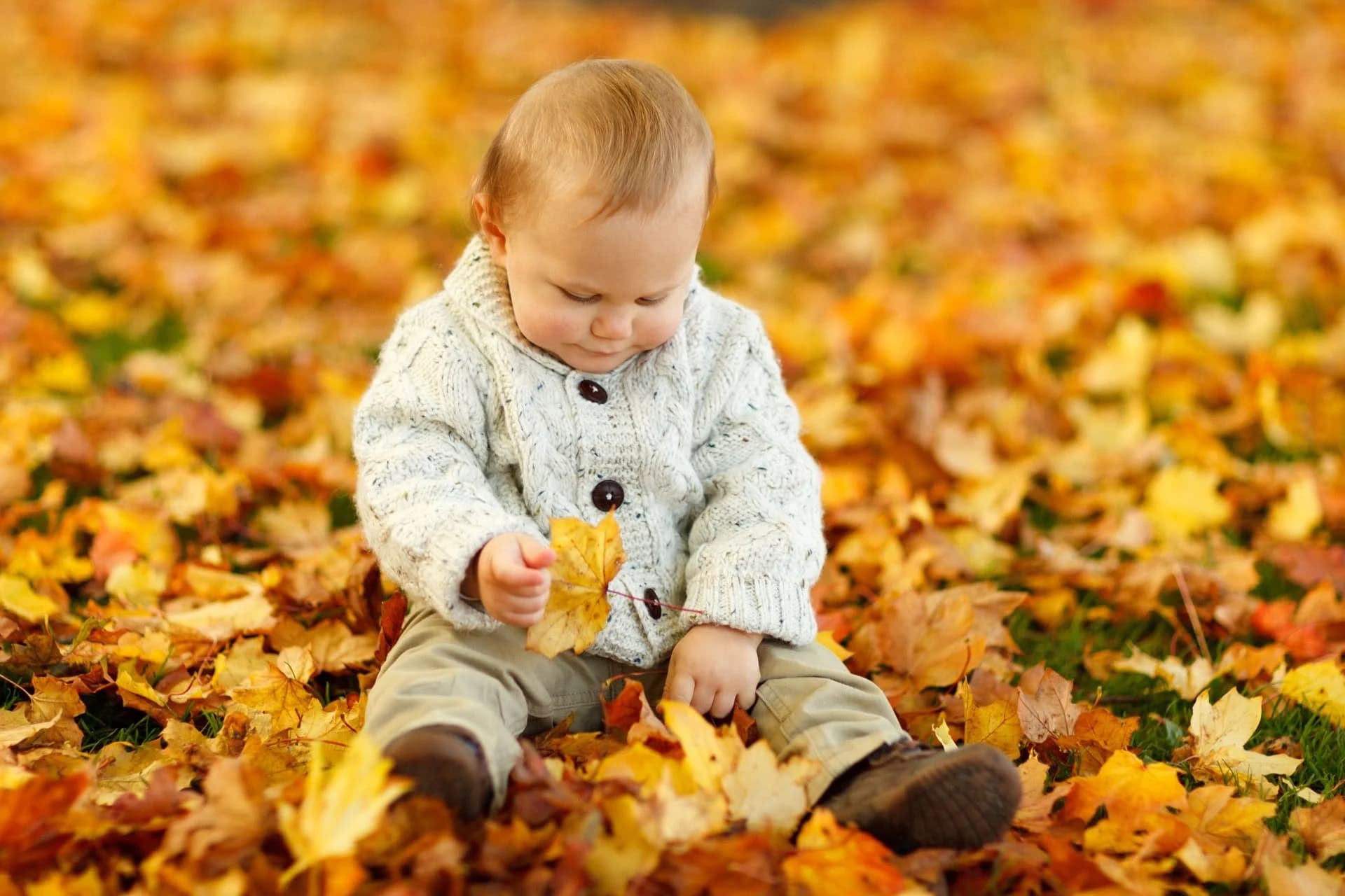 BabyCosts Australia — how we compare baby products